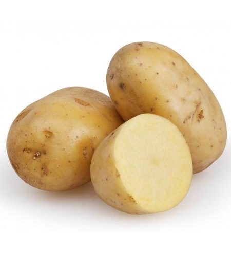 Potato